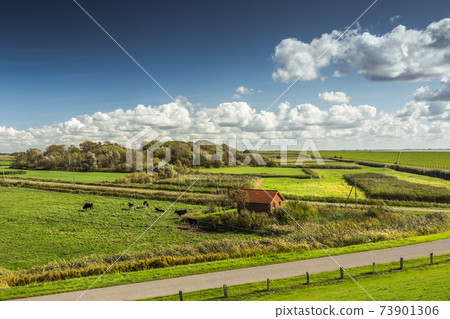 Typical landscape with pastures, Nordstrand peninsula, North Frisia, Schleswig-Holstein, Germany Typical landscape with pastures, Nordstrand peninsula, North Frisia, Schleswig-Holstein, Germany 73901306