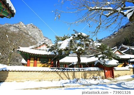 Snowy landscape, winter landscape, Baekyangsa Temple 73901326