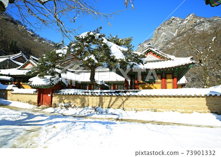 Snowy landscape, winter landscape, Baekyangsa Temple 73901332