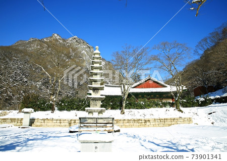 Snowy landscape, winter landscape, Baekyangsa Temple 73901341