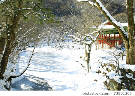 白雪皚皚的風景冬景白楊寺 73901365