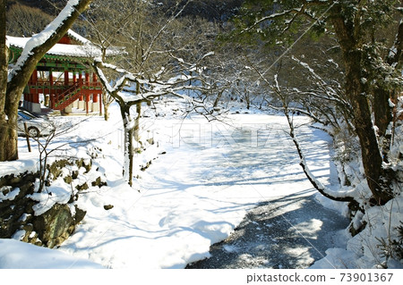 Snowy landscape, winter landscape, Baekyangsa Temple 73901367