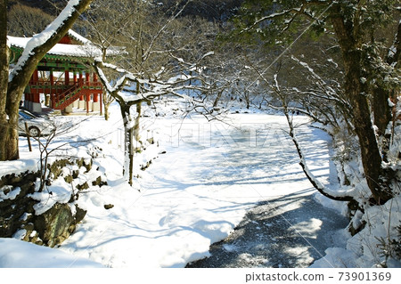 Snowy landscape, winter landscape, Baekyangsa Temple Snowy landscape, winter landscape, Baekyangsa Temple 73901369