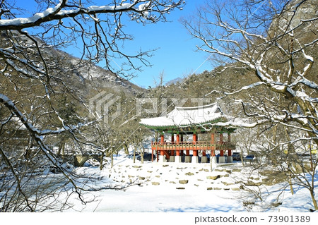 Snowy landscape, winter landscape, Baekyangsa Temple 73901389