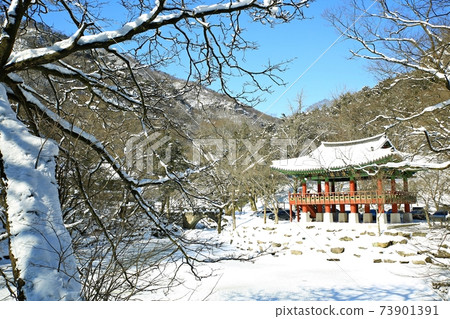 Snowy landscape, winter landscape, Baekyangsa Temple 73901391