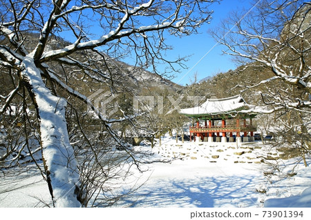 白雪皚皚的風景冬景白楊寺 73901394