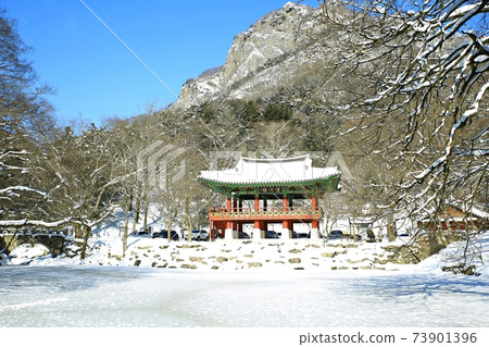 白雪皚皚的風景冬景白楊寺 73901396
