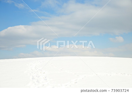Winter landscape, frozen, secluded house Winter landscape, frozen, secluded house 73903724