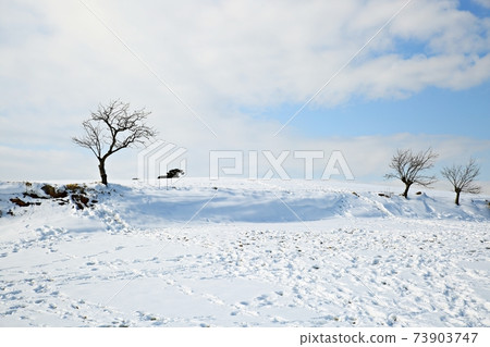 Winter Landscape Frozen Secluded House Stock Photo 73903747 Pixta