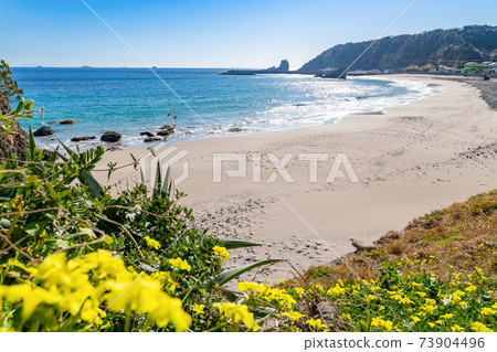 Touji Beach, Shimoda City, Shizuoka Prefecture 73904496