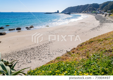 Touji Beach, Shimoda City, Shizuoka Prefecture 73904497