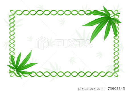 cannabis marijuana leaf medicinal drug legalization vector illustration 73905845