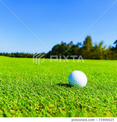 Golf ball golf 73906025