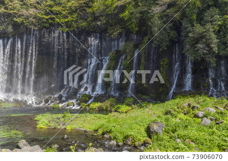 Shiraito Falls (Shizuoka) Shiraito Falls (Shizuoka) 73906070