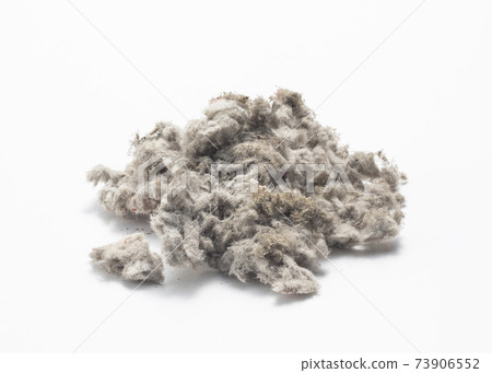 石棉 石棉 73906552