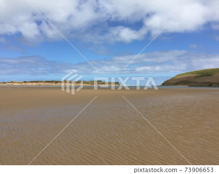 新西蘭海 新西蘭海 73906653