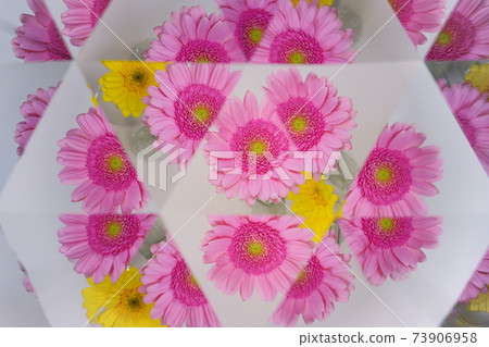 非洲菊萬花筒 非洲菊萬花筒 73906958