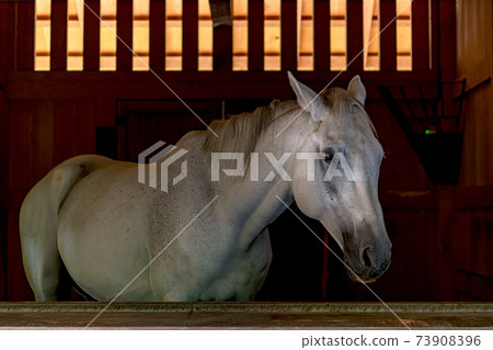 Ise Shimomiya Gojo no Shinme Shochi 73908396