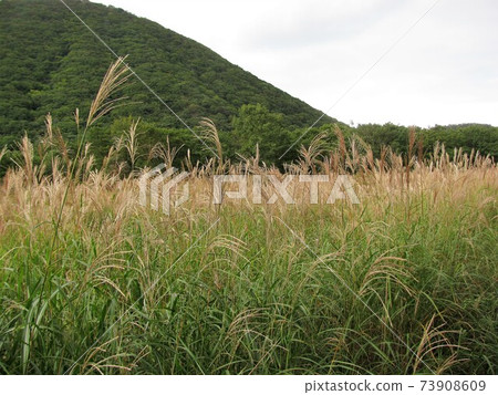 與Susuki的風景 與Susuki的風景 73908609