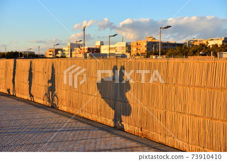 晚上，衝浪者和步行者的影子在湘南的沙子圍欄中反映出來 73910410