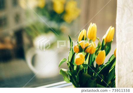 Bouquet of yellow tulip flowers on window sill 73911338
