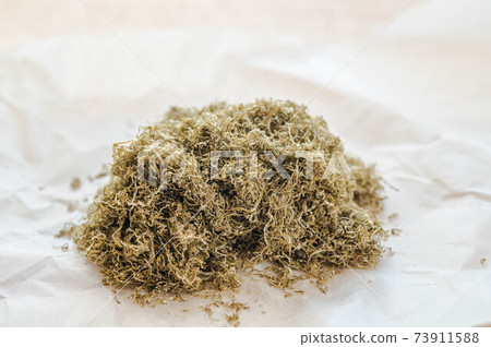 Black tororo Black tororo 73911588