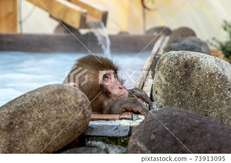 Nikko Saru Gundan 73913095