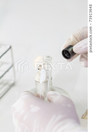 Marine plankton or Microalgae culture into a test tube in laboratory 73913648