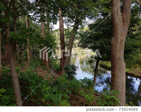 著名景點：東京都品川區渡越公園 73914089