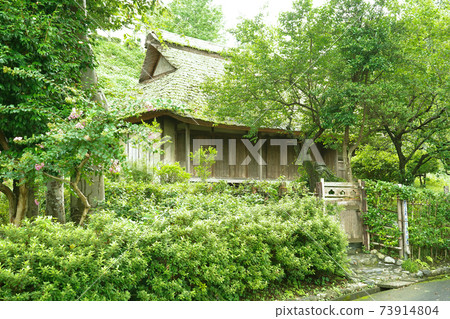 Japanese mansion 73914804