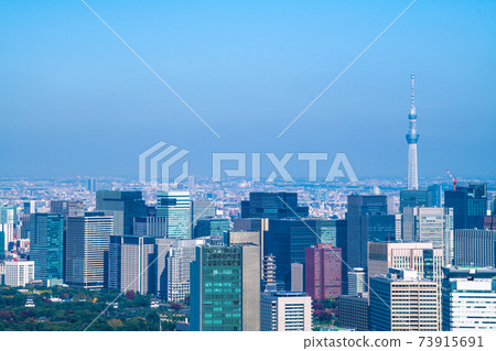 Tokyo cityscape of Japan overlooking Tokyo Sky Tree, Otemachi, Marunouchi, etc. 73915691