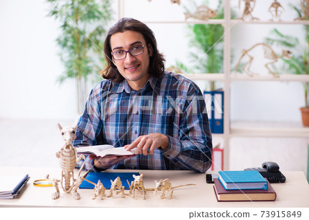 Young male teacher paleontologist in the classroom 73915849