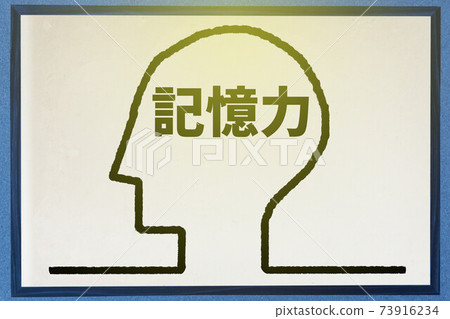 Memory 73916234