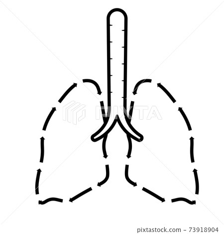 Healthy human lungs icon in sketchy linear style. Isolated vector on white background Healthy human lungs icon in sketchy linear style. Isolated vector on white background 73918904