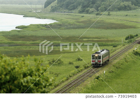Hanasaki Line running through the marsh Hanasaki Line Kiha 54 73919403