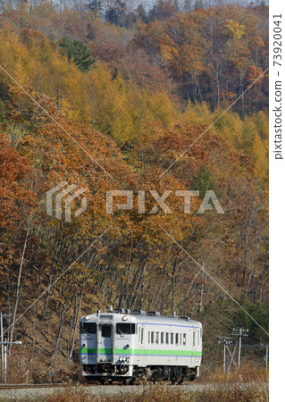 根室本線定期列車在秋天的樹葉後面行駛JR室室本線 根室本線定期列車在秋天的樹葉後面行駛JR室室本線 73920041