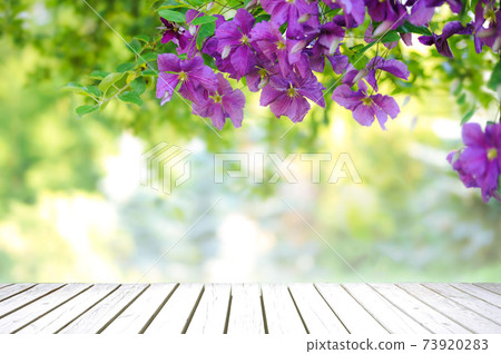 Outdoor cooking template 73920283