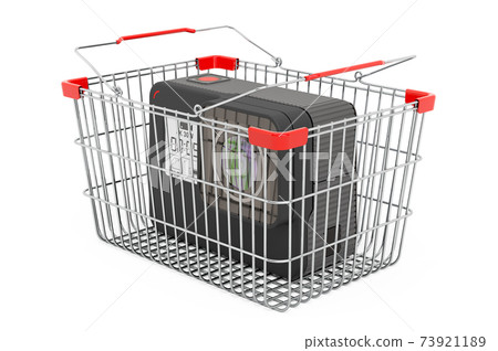 Dashcam inside shopping basket, 3D rendering 73921189