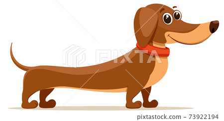 Dachshund brown with a collar stands. The character Dachshund brown with a collar stands. The character 73922194