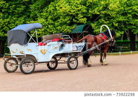 Empty horse-drawn carriage in a green park Empty horse-drawn carriage in a green park 73922298