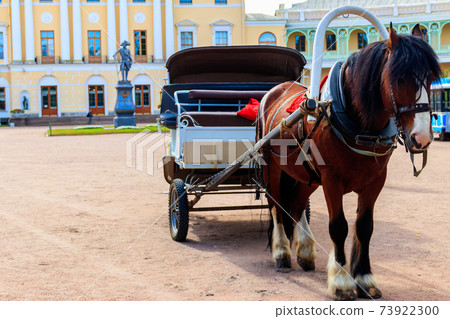 Horse-drawn wagon on the square at the Pavlovsk Palace in Pavlovsk, Russia Horse-drawn wagon on the square at the Pavlovsk Palace in Pavlovsk, Russia 73922300