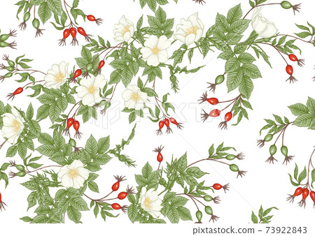 Rose hips with flowers and berries seamless pattern Rose hips with flowers and berries seamless pattern 73922843