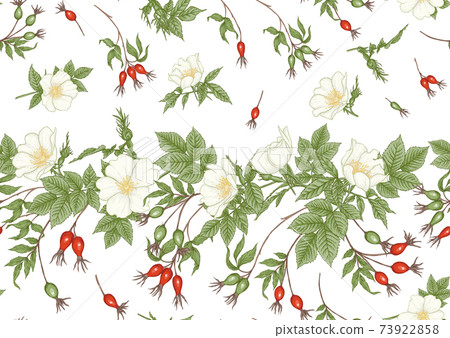 Rose hips with flowers and berries seamless pattern Rose hips with flowers and berries seamless pattern 73922858