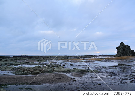 Senjojiki coast in winter Senjojiki coast in winter 73924772