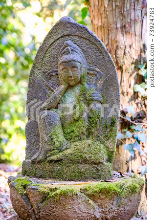 智慧響的聲音 智慧響的聲音 73924783