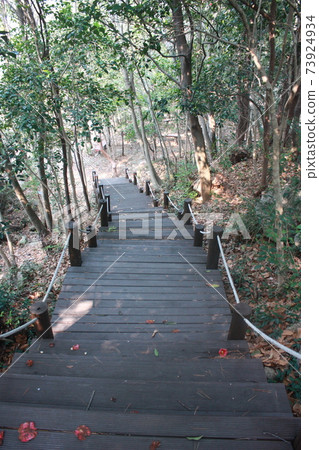 走下的人行道 73924934