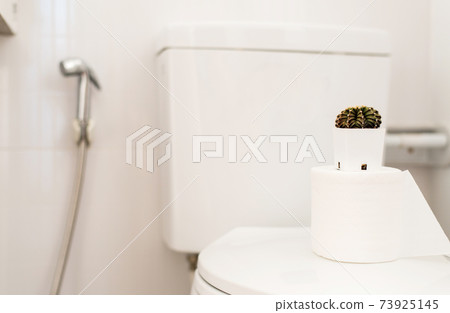 Beautiful green cactus in restroom,Concept for hemorrhoids,Constipation disease 73925145