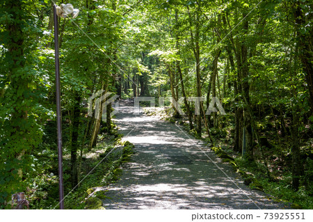 On the way to Fugaku Wind Cave 73925551