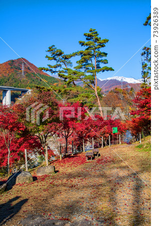 吉野明古岡紀念公園秋天風景水上町 吉野明古岡紀念公園秋天風景水上町 73926389