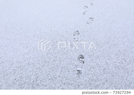 Footprints on the white snow 73927294